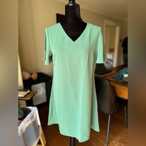 Never worn shift dress